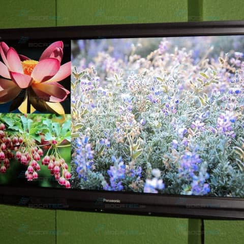 Panasonic Screens for your content