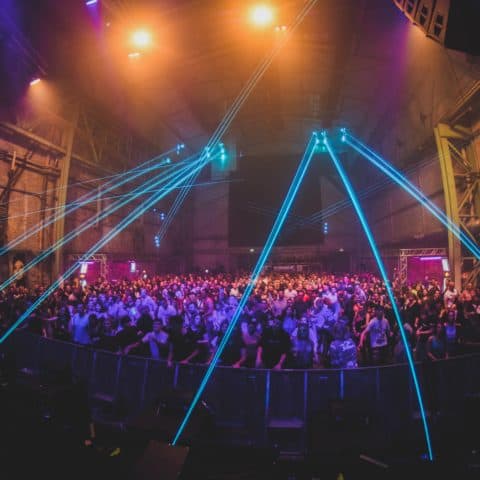 Pioneer_DJ_Alpha_Laserbeams_Crowd